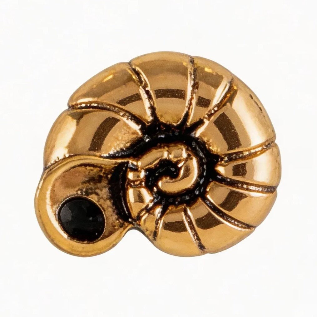 Golden shell