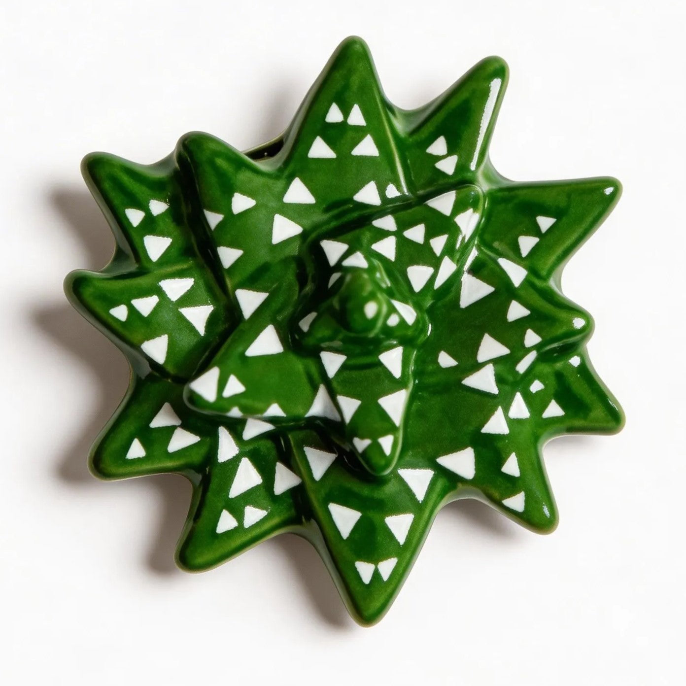 Green cactus