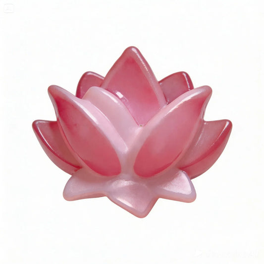 Pink lotus