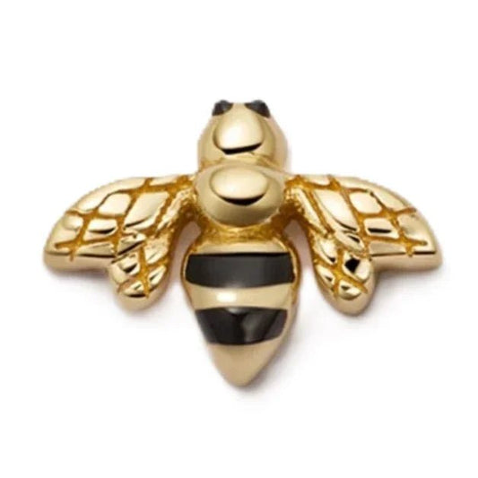 Bee - Ava Delora