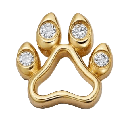 Claws Diamond - Ava Delora