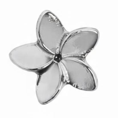 Plumeria