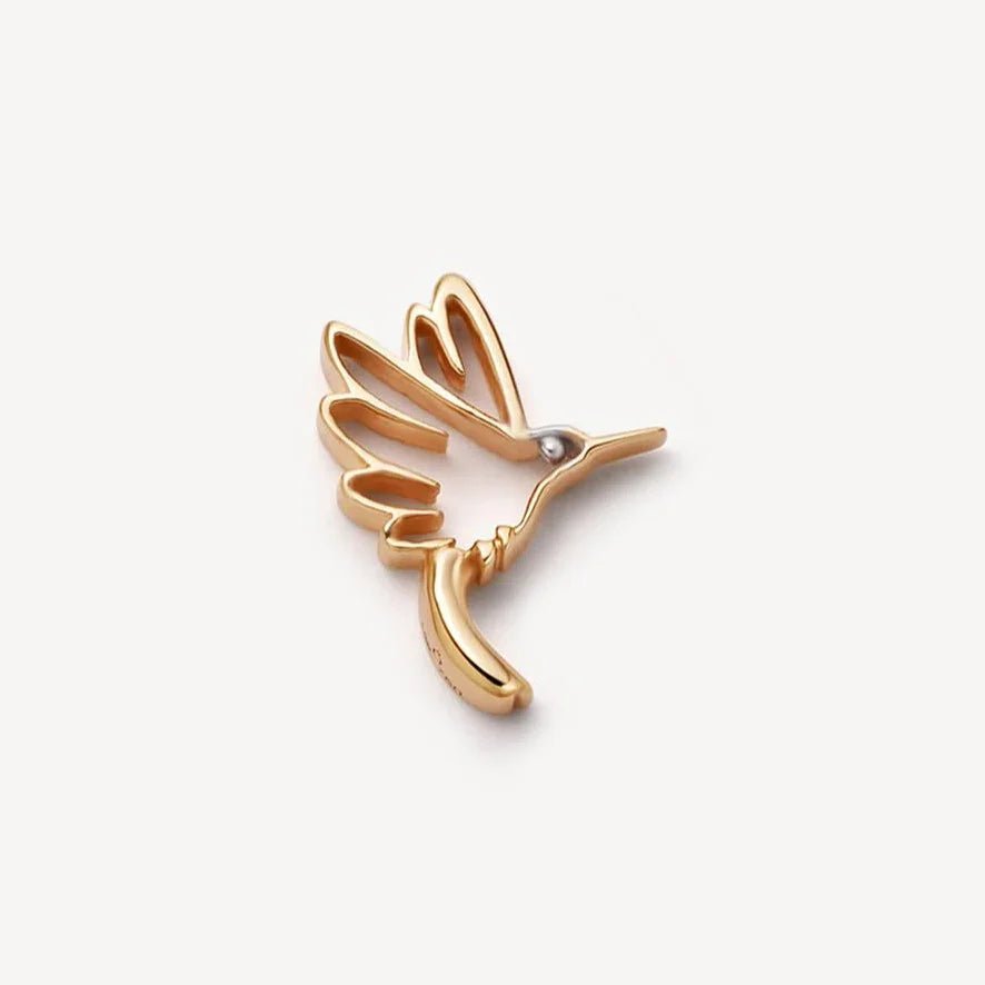 Hummingbird - Ava Delora