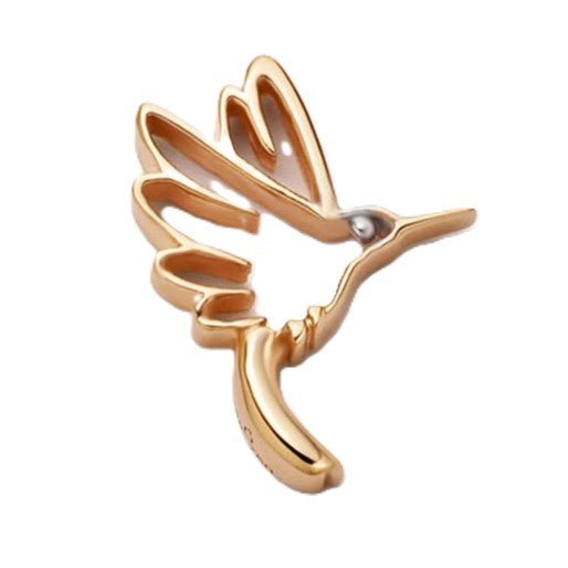 Hummingbird - Ava Delora UK