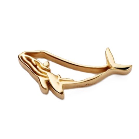 Whale - Ava Delora UK